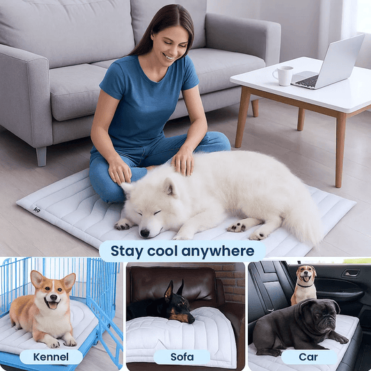 TRYndey PET Cooling Mat
