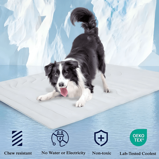 TRYndey PET Cooling Mat